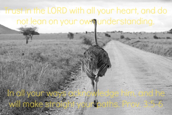 Proverbs 3